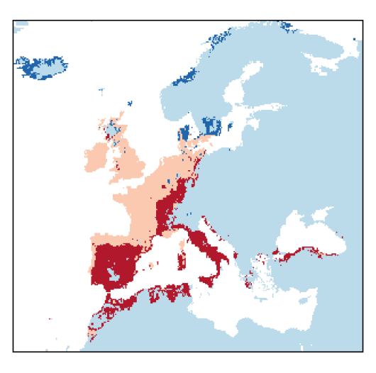 Mentha suaveolens Ehrh.
