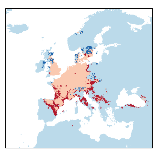 Onobrychis viciifolia Scop.