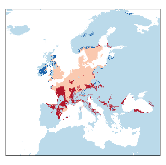 Oxybasis glauca (L.) S.Fuentes, Uotila & Borsch