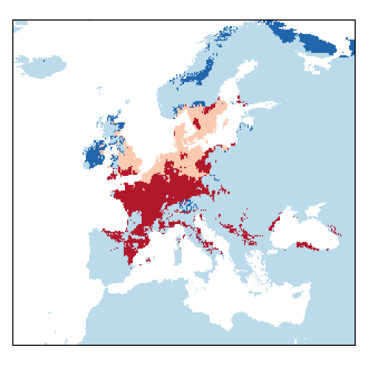 Oxybasis glauca (L.) S.Fuentes, Uotila & Borsch