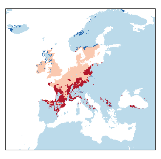 Oxybasis rubra (L.) S.Fuentes, Uotila & Borsch