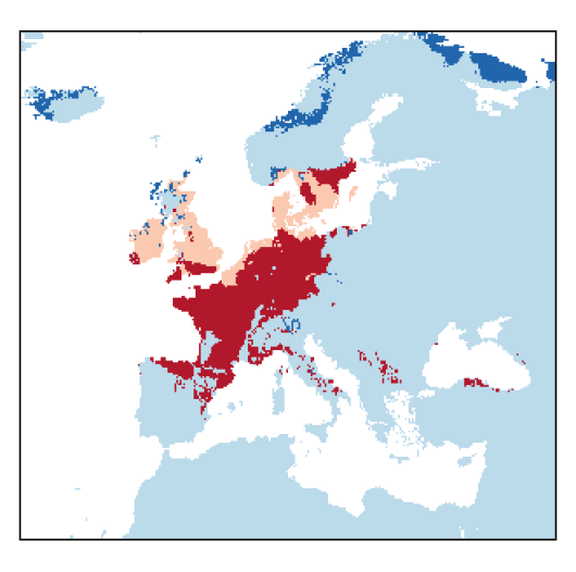 Oxybasis rubra (L.) S.Fuentes, Uotila & Borsch
