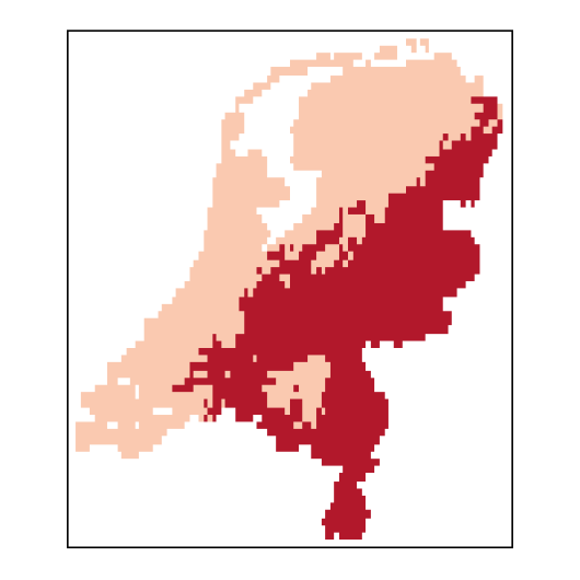 Oxybasis rubra (L.) S.Fuentes, Uotila & Borsch