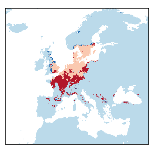Pastinaca sativa subsp. sativa