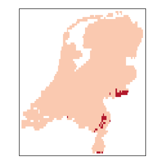 Pastinaca sativa subsp. sativa