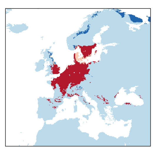 Pastinaca sativa subsp. sativa
