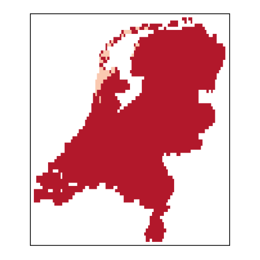 Pastinaca sativa subsp. sativa