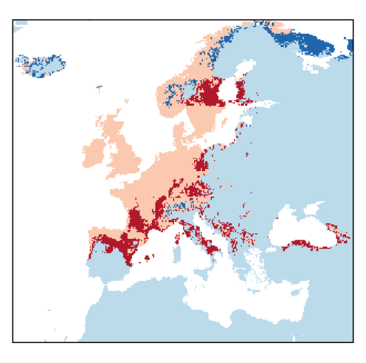Phalaris arundinacea L.