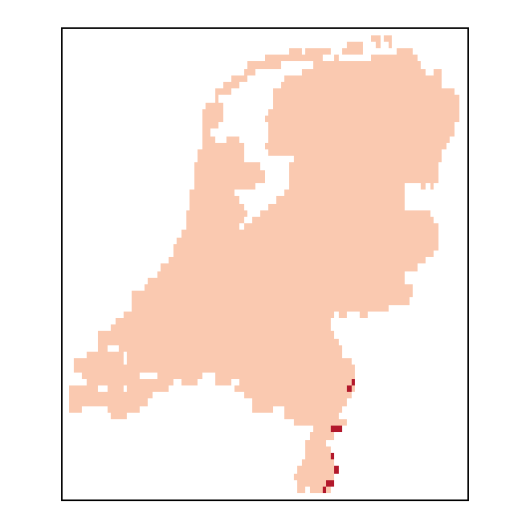 Phalaris arundinacea L.