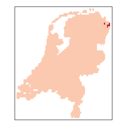 Pimpinella major (L.) Huds.