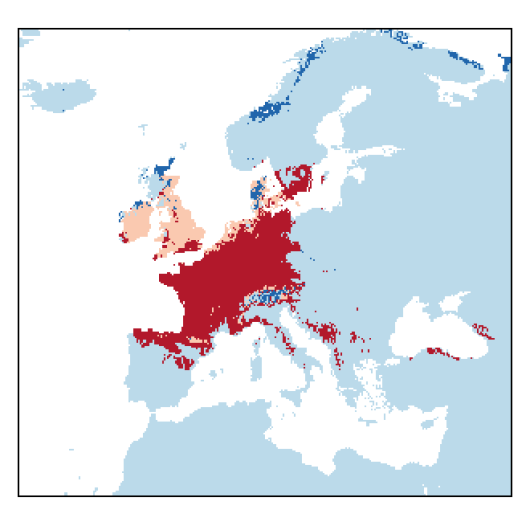 Pimpinella major (L.) Huds.