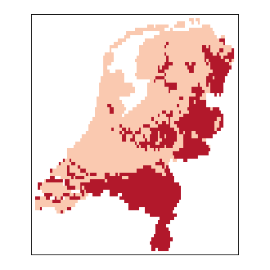 Pimpinella major (L.) Huds.