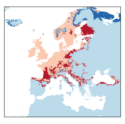Pimpinella saxifraga L.