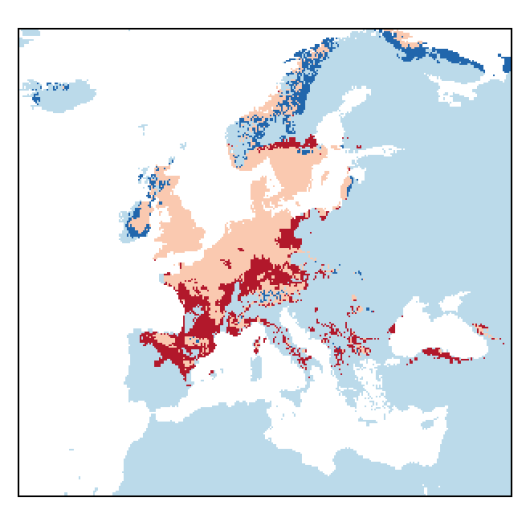Poa pratensis subsp. angustifolia (L.) Lej.