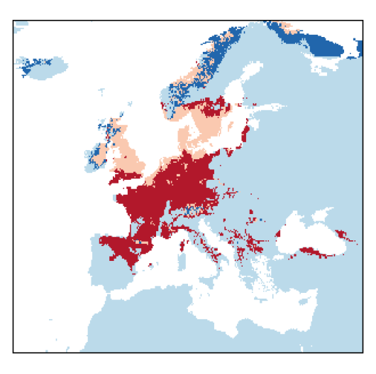 Poa pratensis subsp. angustifolia (L.) Lej.