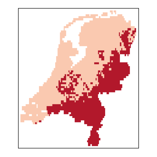 Poa pratensis subsp. angustifolia (L.) Lej.