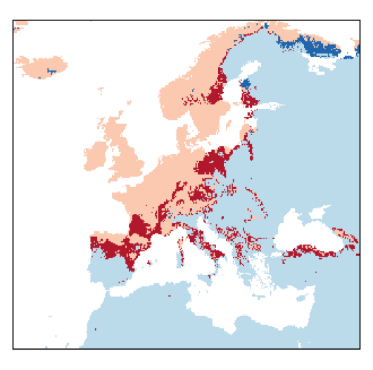 Poa pratensis subsp. pratensis