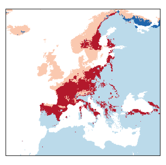 Poa pratensis subsp. pratensis