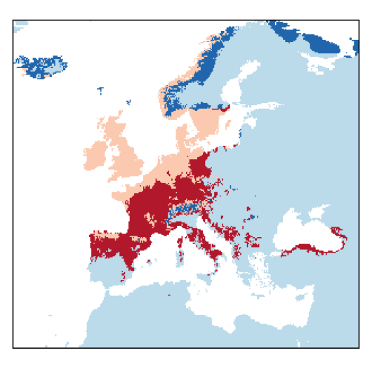 Prunus avium (L.) L.