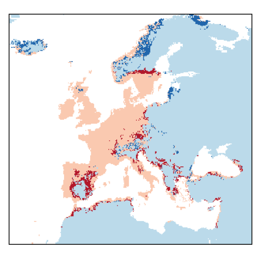 Raphanus raphanistrum L.