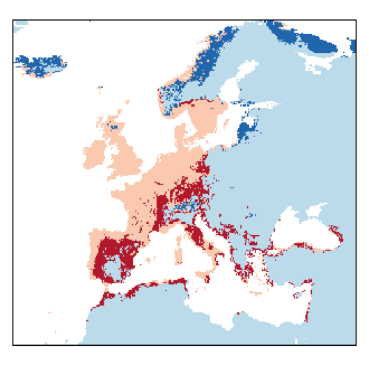 Raphanus raphanistrum L.