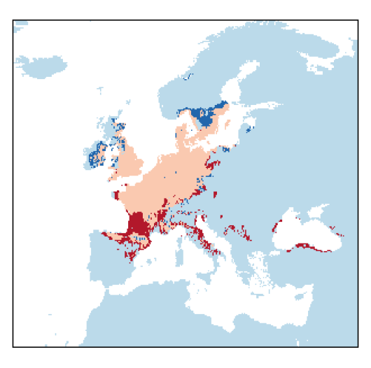 Rorippa amphibia (L.) Besser