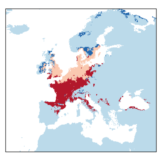 Rorippa amphibia (L.) Besser