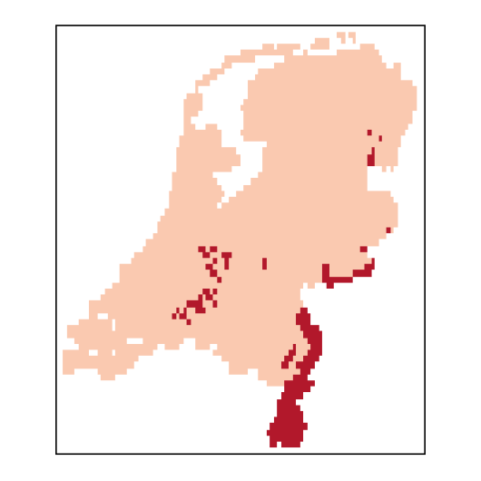 Rorippa palustris (L.) Besser