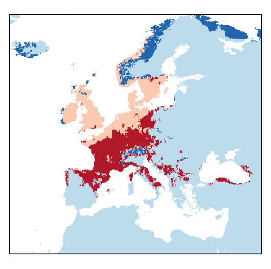Rorippa sylvestris (L.) Besser