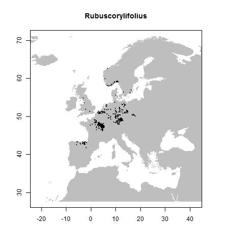 Rubus sect. Corylifolii Lindl.