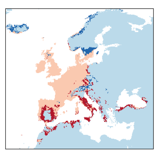 Schedonorus arundinaceus (Schreb.) Dumort.