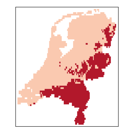 Schedonorus giganteus (L.) Holub