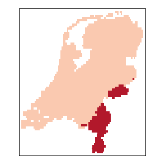 Schedonorus pratensis (Huds.) P. Beauv.