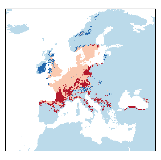 Scorzonera humilis L.