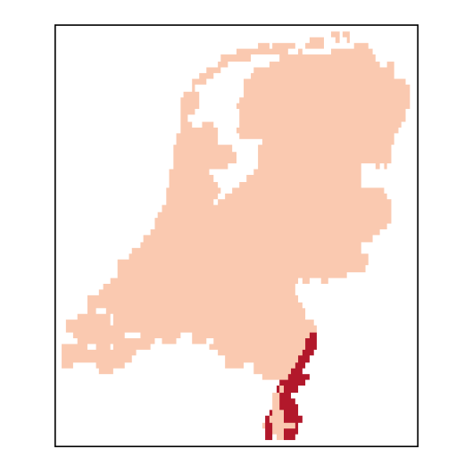 Scorzonera humilis L.