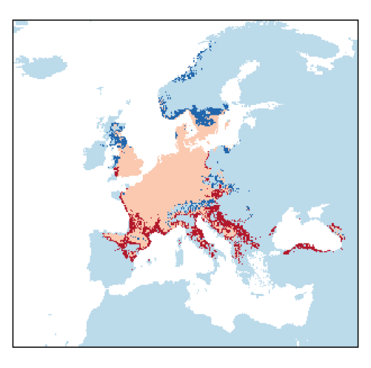 Securigera varia (L.) Lassen