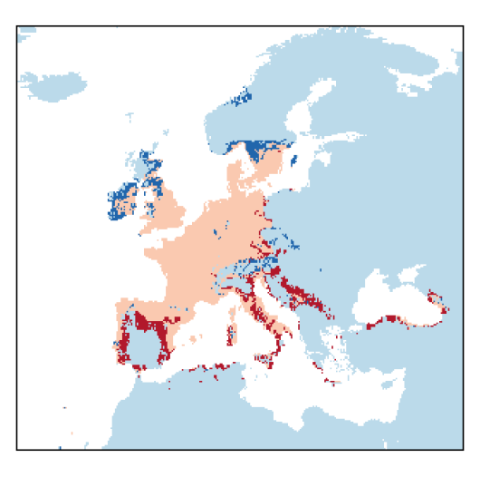 Setaria pumila (Poir.) Roem. & Schult.