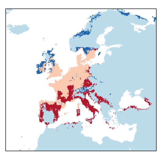 Setaria pumila (Poir.) Roem. & Schult.