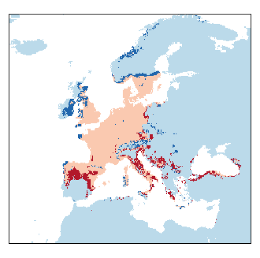 Setaria viridis (L.) P. Beauv.