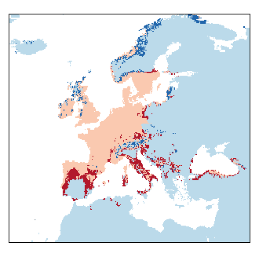 Solanum dulcamara L.