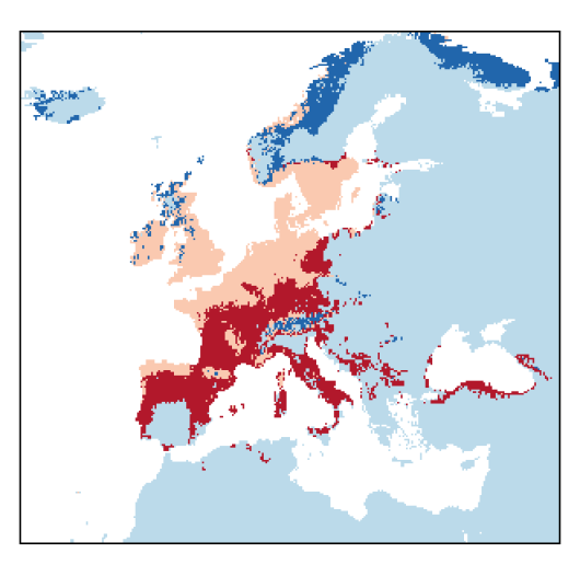 Solanum dulcamara L.