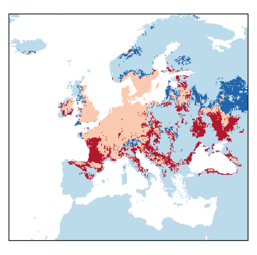 Thymus pulegioides L.