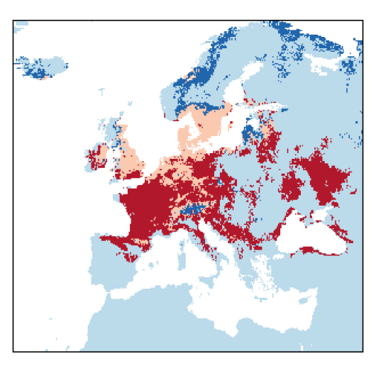 Thymus pulegioides L.