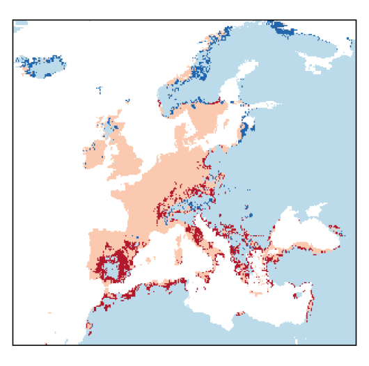 Trifolium arvense L.