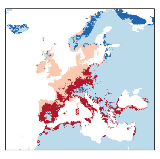 Trifolium arvense L.