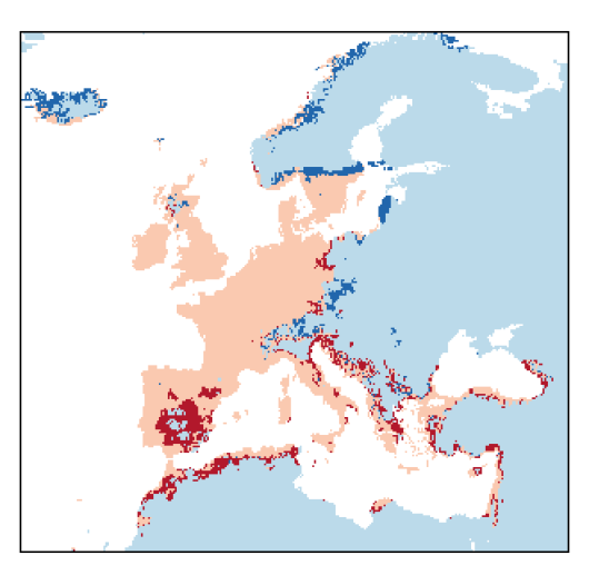 Trifolium campestre Schreb.