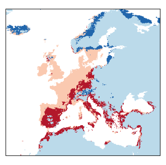 Trifolium campestre Schreb.