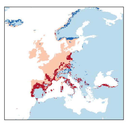 Trifolium dubium Sibthorp