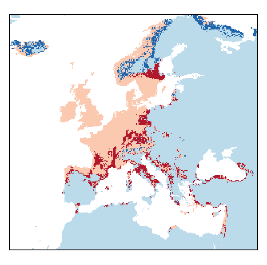 Trifolium hybridum subsp. hybridum