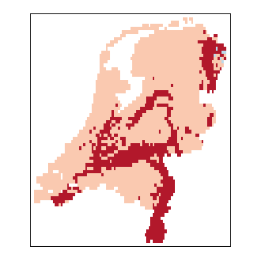 Trifolium micranthum Viv.